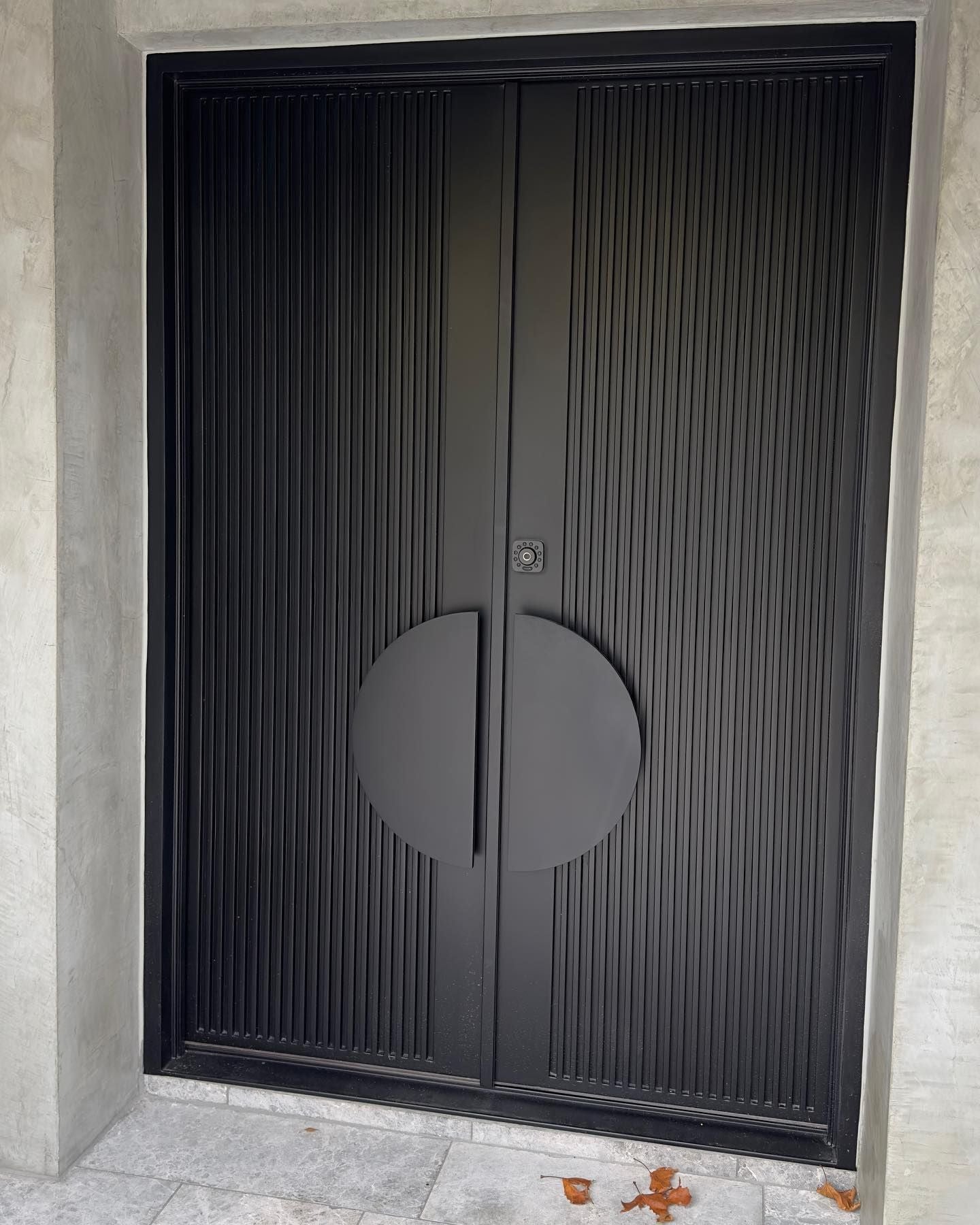 Modern batten steel Hinge Double Doors