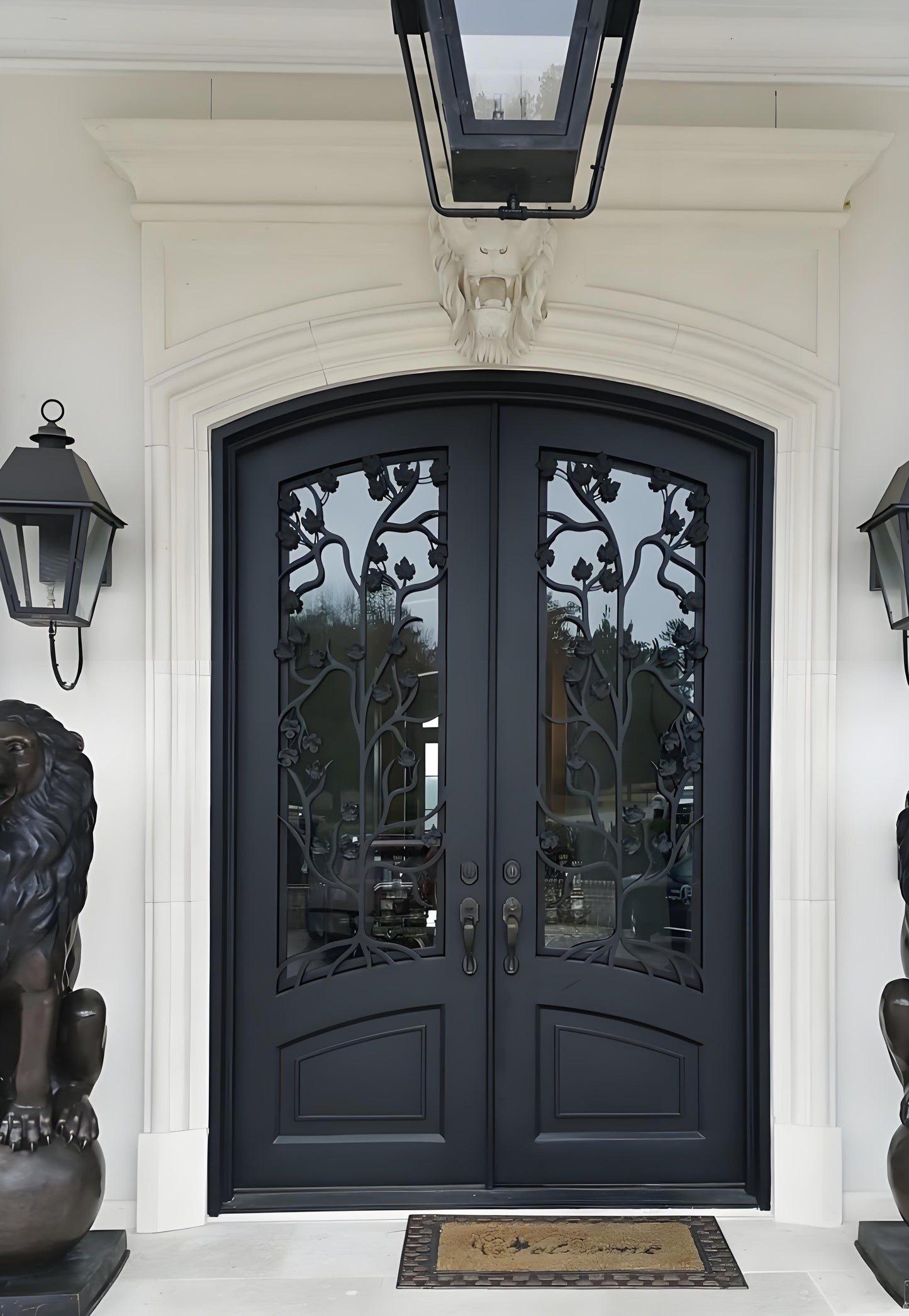 Matte black double wrought iron door