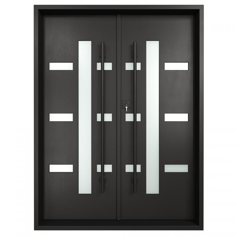 Modern Double Entrance Door