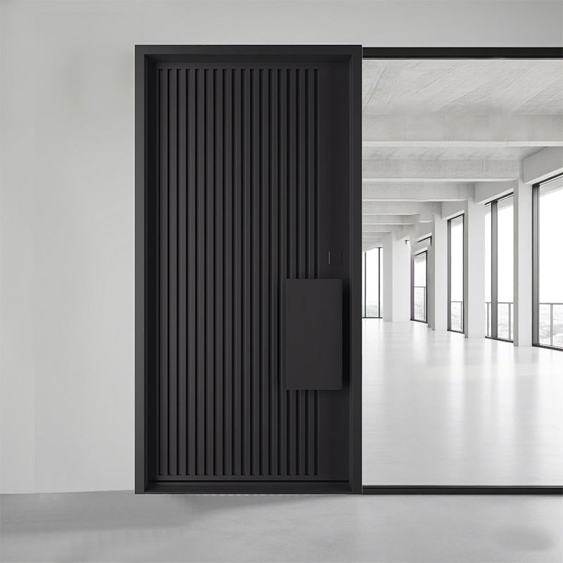 Black modern exterior door