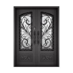 Elegant Double Iron Door Design