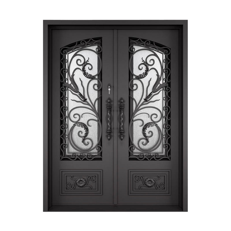 Elegant Double Iron Door Design