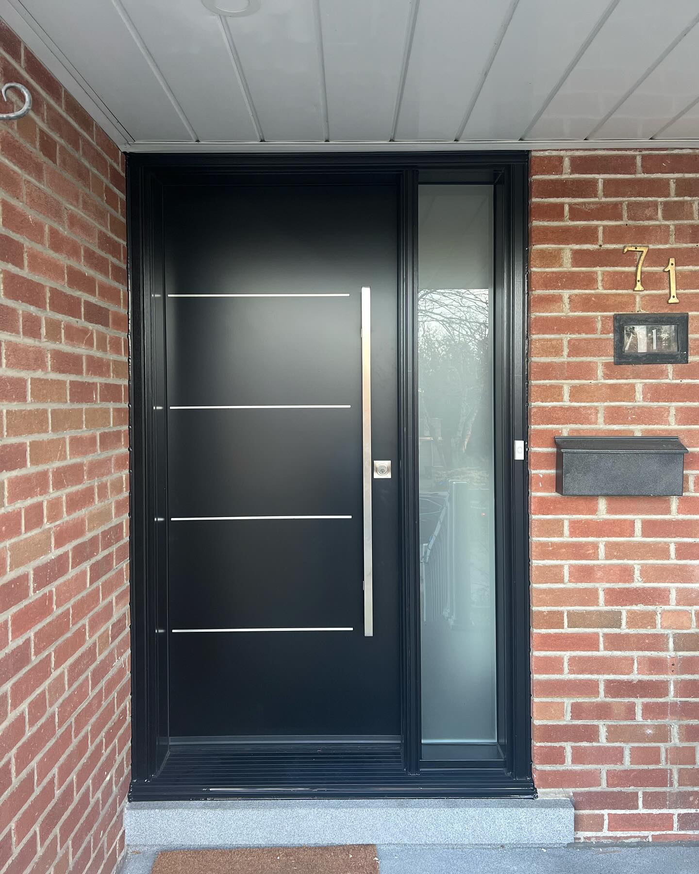Matte Black Modern Entry Iron Door