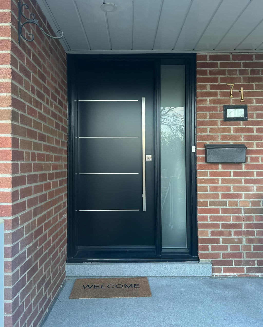 Matte Black Modern Entry Iron Door