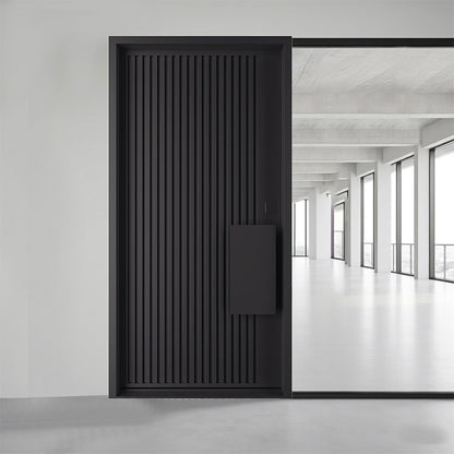 Black modern exterior door