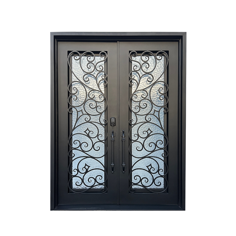 Wrought Iron Double Door
